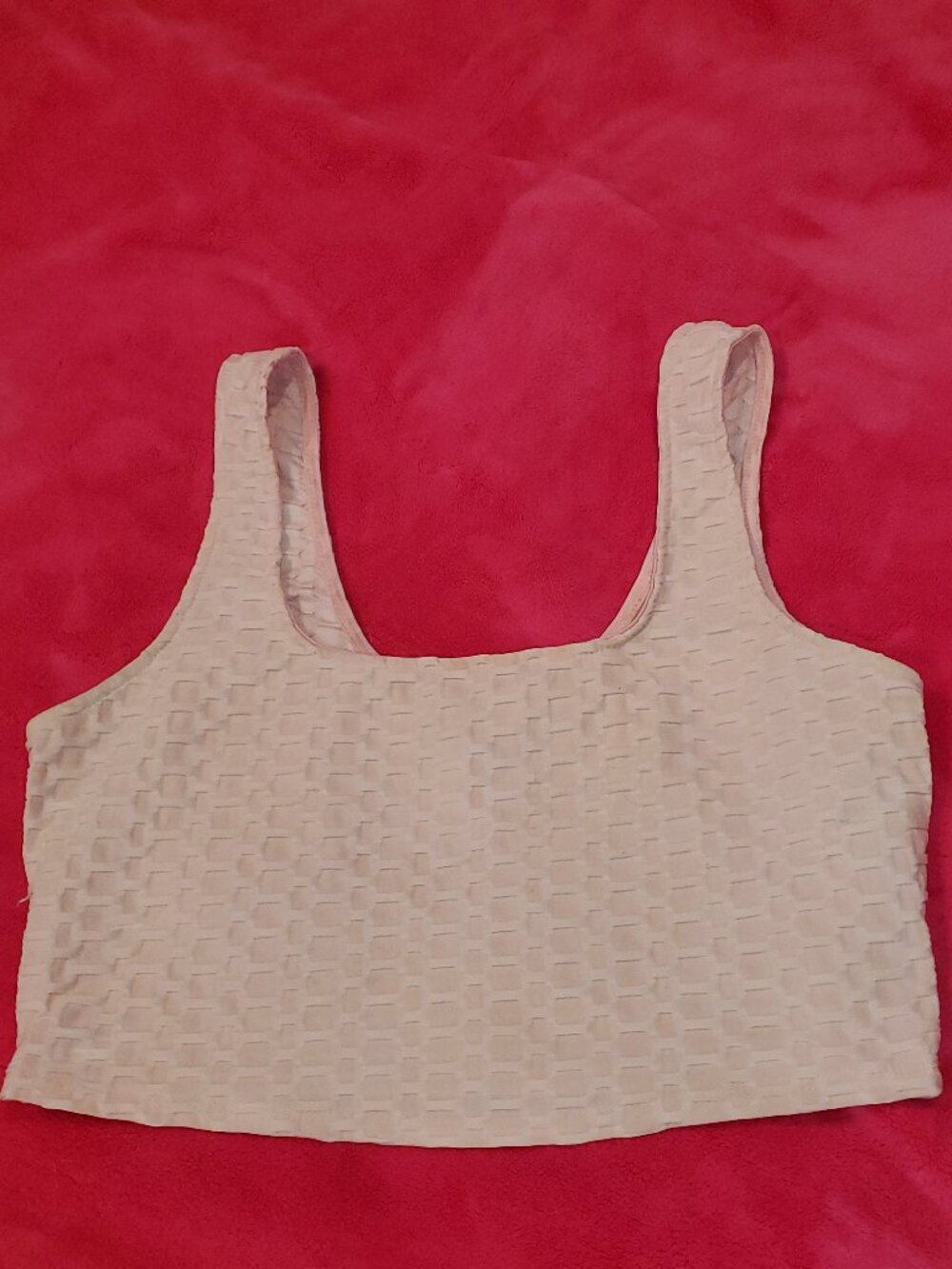 Salmon crop top